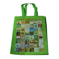 河北区LB11覆膜无纺布广告袋